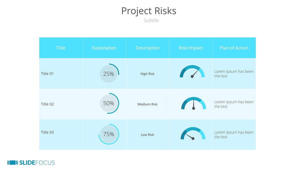 Project Risks