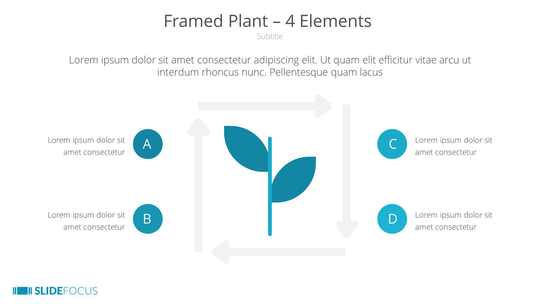 Framed Plant 4 Elements