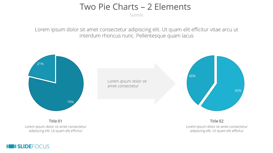 Two Pie Charts 2 Elements