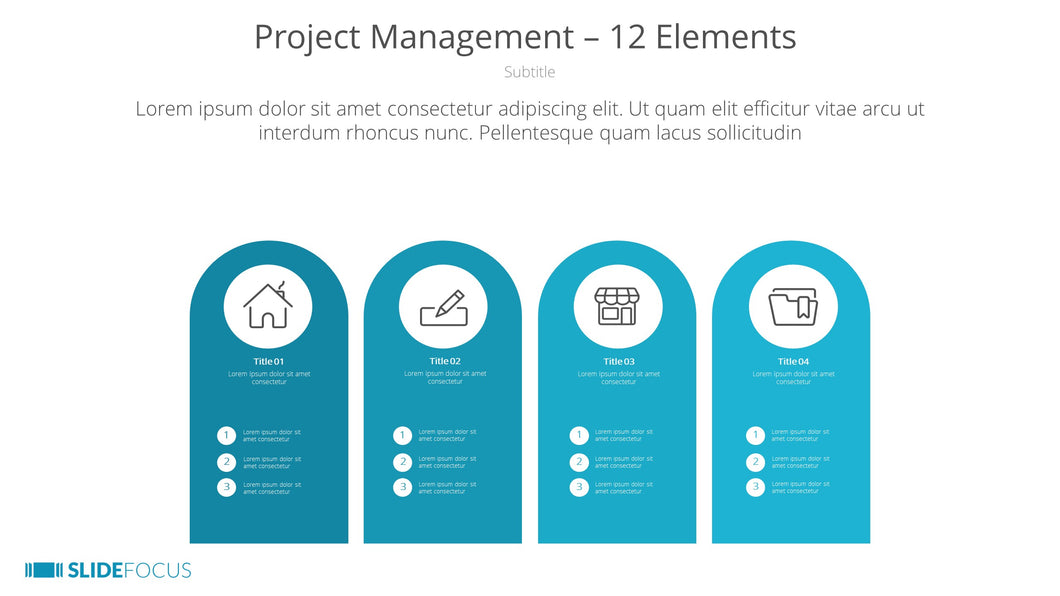 Project Management 12 Elements
