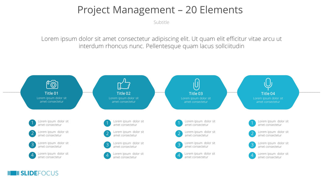 Project Management 20 Elements
